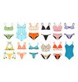 women lingerie color ladies panties female vector image