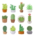 cute cartoon cactus collection flat nature vector image