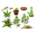 set isolated marijuana leaf and hemp seeds vector image