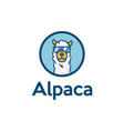 alpaca sunglasses cool cartoon character vector image