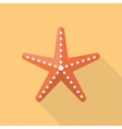 starfish vector image
