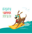 summer fun sport vector image