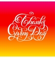 thanks giving day handwritten lettering vector image