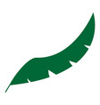 feather icon logo design template isolated vector image vector image