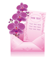 flower orchid in envelope on white background vector image