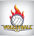 volleyball championship logo vector image vector image