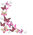 frame pink butterflies in flight isolated vector image