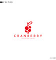 cranberry logo vector image