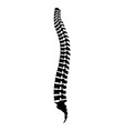 spine vector image