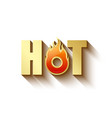 golden hot lettering vector image vector image