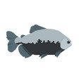colossoma macropomum - tambaqui - side view - flat vector image vector image