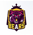 colorful logo badge sticker emblem vector image