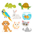 set of home animal pet vector image