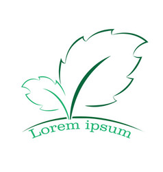 green leaves vector image vector image