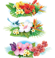 arrangement from tropical flowers vector image