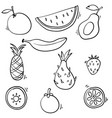 doodle fruits collection handdrawn cartoon style vector image