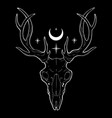 skull a ghostly mystical deer on a black vector image
