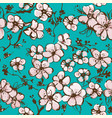 springtime wallpaper with apricot blossom vector image vector image