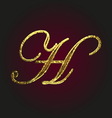 h golden letter vector image