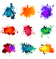 paint splatter vector image vector image