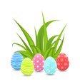traditional colorful ornamental eggs with grass vector image vector image