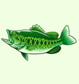 big bass green fish vector image vector image