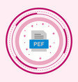 pef file document icon vector image vector image