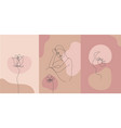 minimalist style portrait line flower vector image vector image