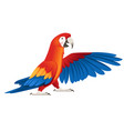 Adult parrot of red-and-green macaw ara sitting Vector Image