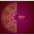elegant background with lace ornament vector image