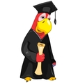 funny parrot student vector image