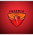 phoenix rising abstract logo template vector image vector image
