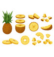 pineapple set tropical fresh whole and peeled vector image