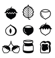 hazelnuts nuts - food icons set vector image