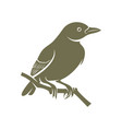 lark bird logo design icon symbol template vector image