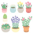 cute tiny flower in pot collection vector image vector image