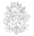 drawing flowers vector image