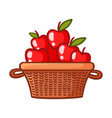 basket with apples vector image vector image