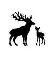 silhouette deer and little vector image
