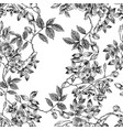 wild roses blossom branch seamless pattern vector image