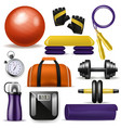 fitness equipment bodybuilding dumpbell vector image