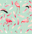 tropical flamingo seamless summer pattern feathers vector image vector image