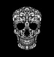hand drawn human skull made floral shapes design vector image