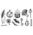 ingredients for witchcraft set in vintage style vector image vector image
