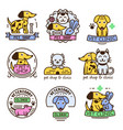 pet badge graphic sticker set domestic vector image vector image