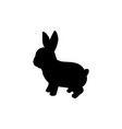 silhouette little rabbit cute young animal vector image