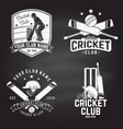 set cricket club badges on chalkboard vector image