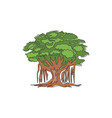one continuous line drawing shady and leafy vector image vector image