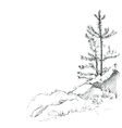 pine trees and rocks vector image vector image