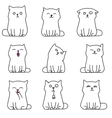 cute white kittens vector image